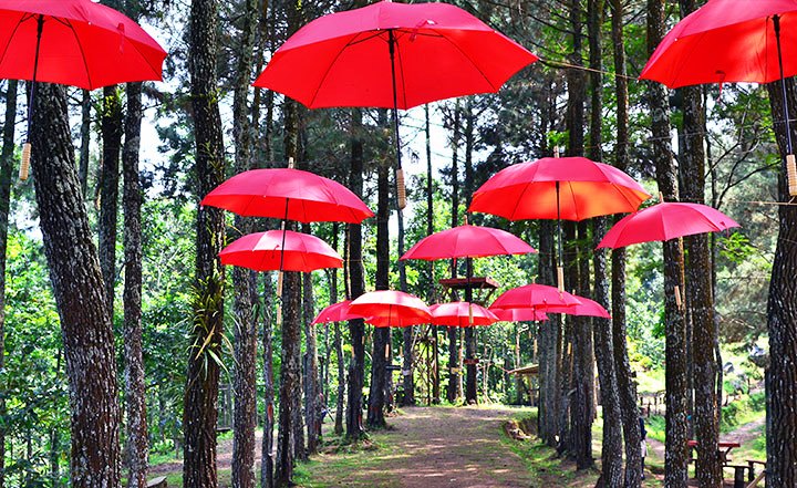 Punthuk Mangir salah satu tempat wisata di Magelang yang tutup