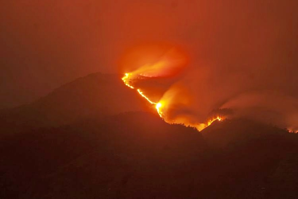 kebakaran Gunung Merbabu