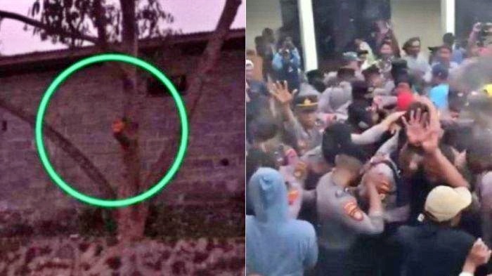 tangkapan layar video soal kakek di Temanggung marah saat pohon duriannya ditebang