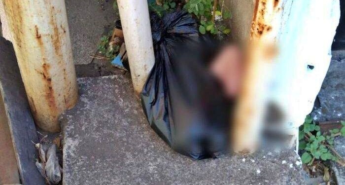 Bayi dibuang dalam kresek pelaku seorang wanita asal Magelang
