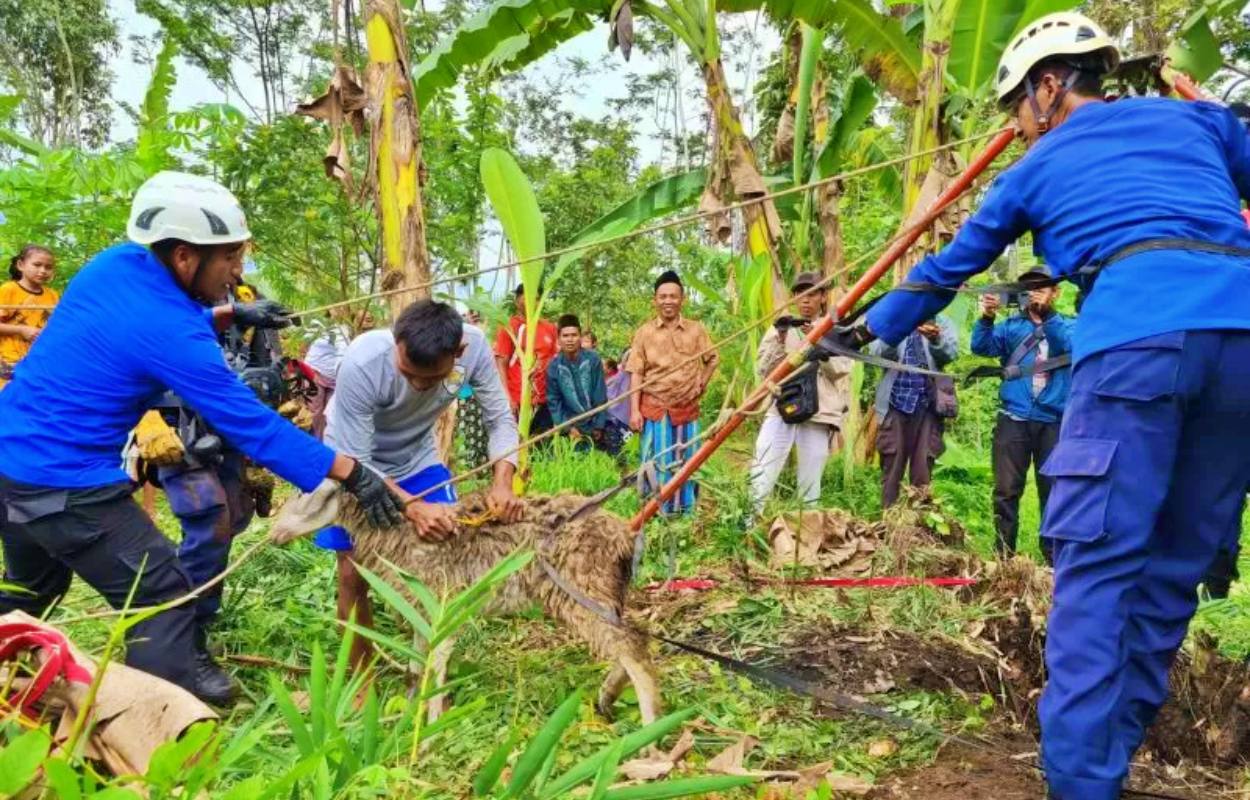 Evakuasi Kambing tercebur sumur di Magelang