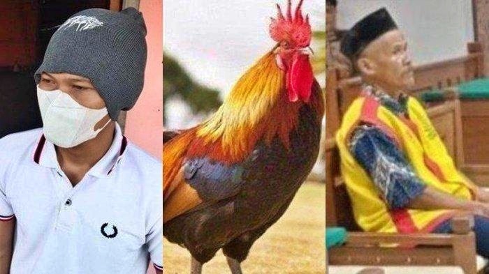 Ayah dituduh mencuri Ayam milik Bu Kades