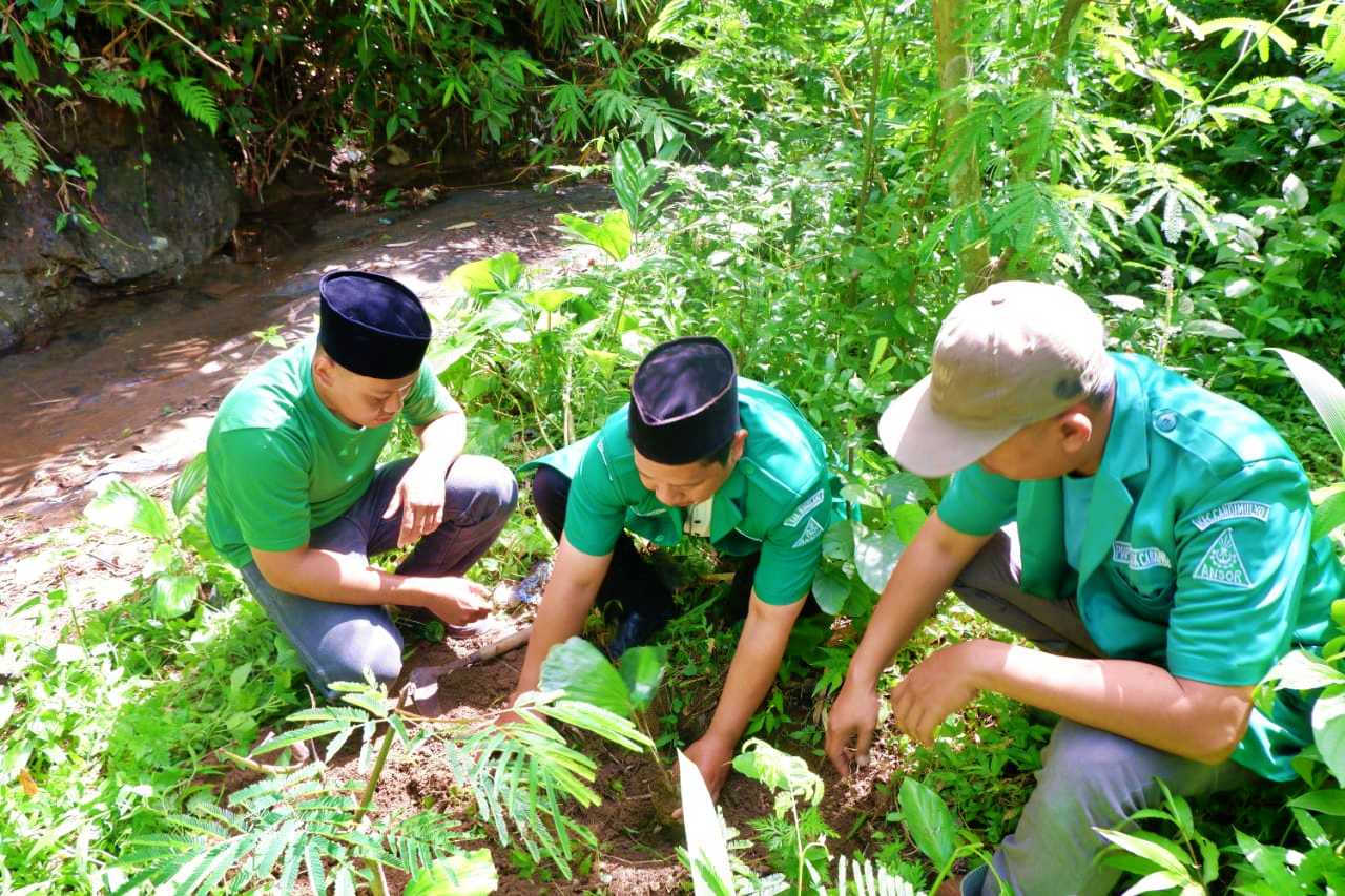 PAC GP Ansor Candimulyo Turun ke Sungai dan lakukan penanaman Pohon
