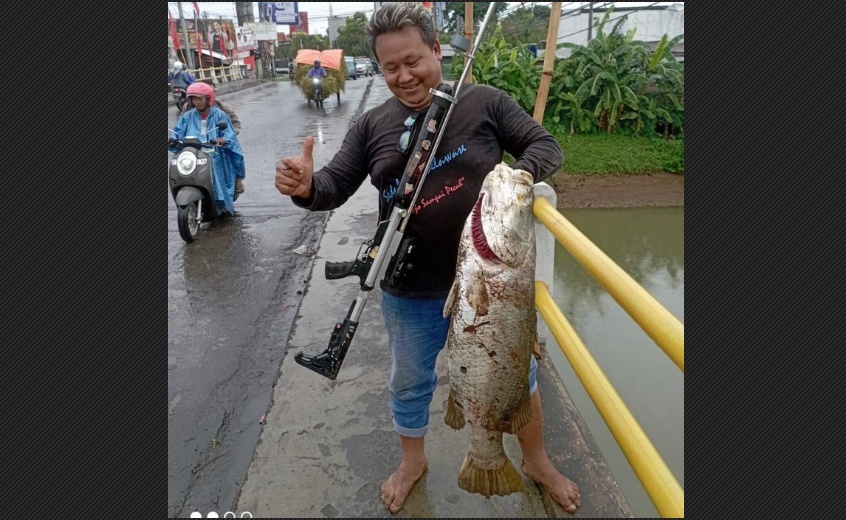 Pemancing ini dapat seekor ikan kakap seberat 12 kilogram