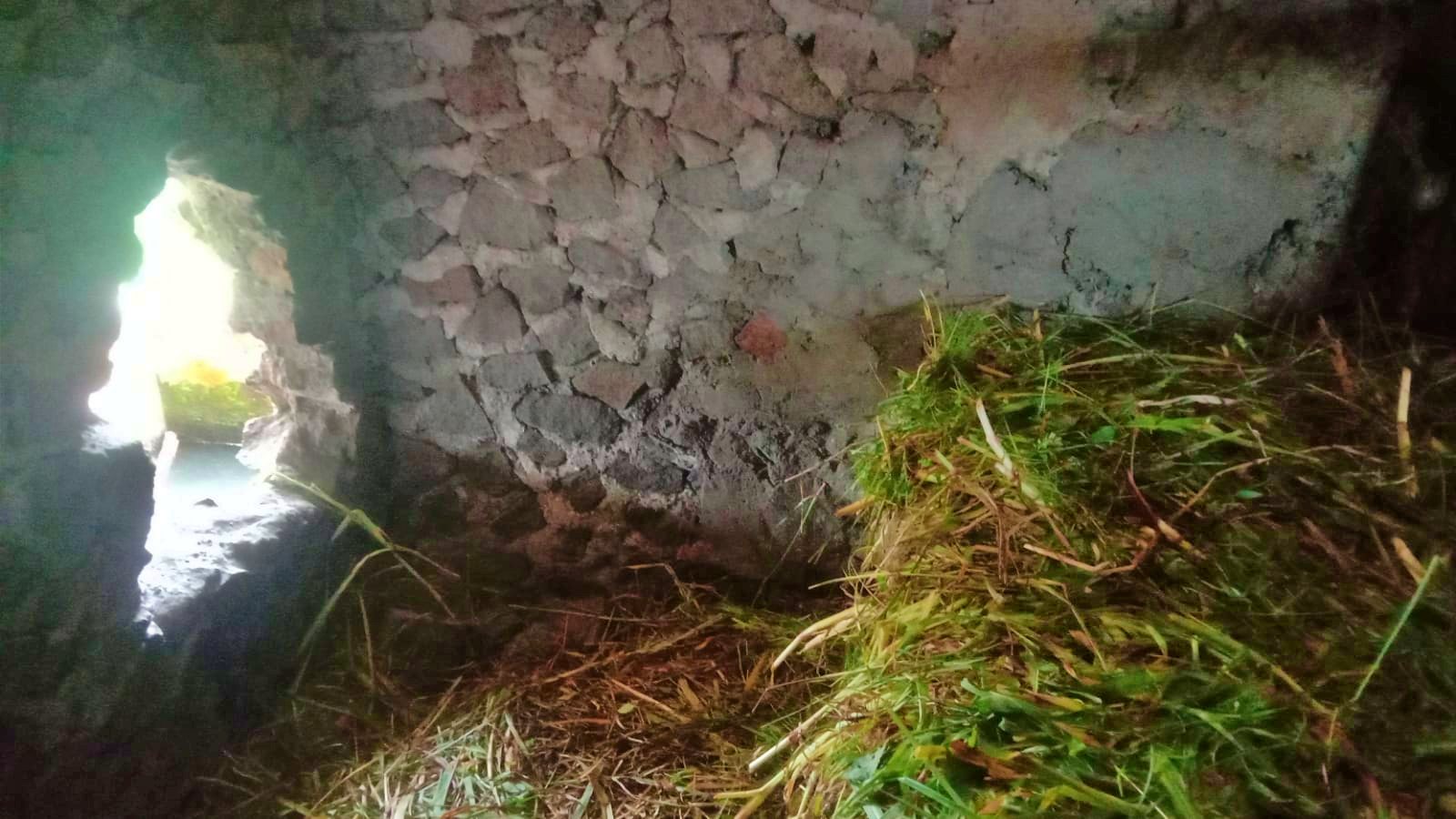 Pencuri ternak kambing di Dukun Magelang jebol kandang bagian belakang