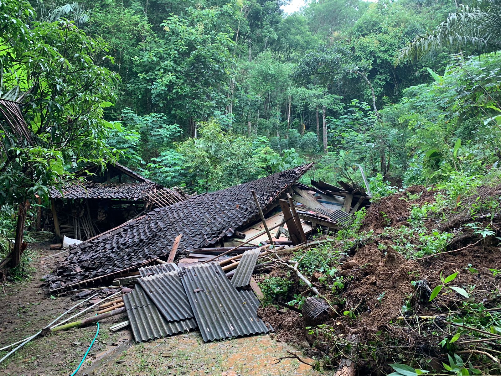 Hujan Sebabkan Longsor di Salaman Magelang, 1 Rumah Roboh