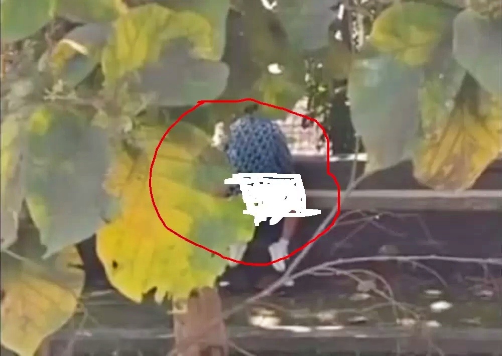 tangkapan layar video sepasang pelajar smp di Magelang berbuat tak senonoh