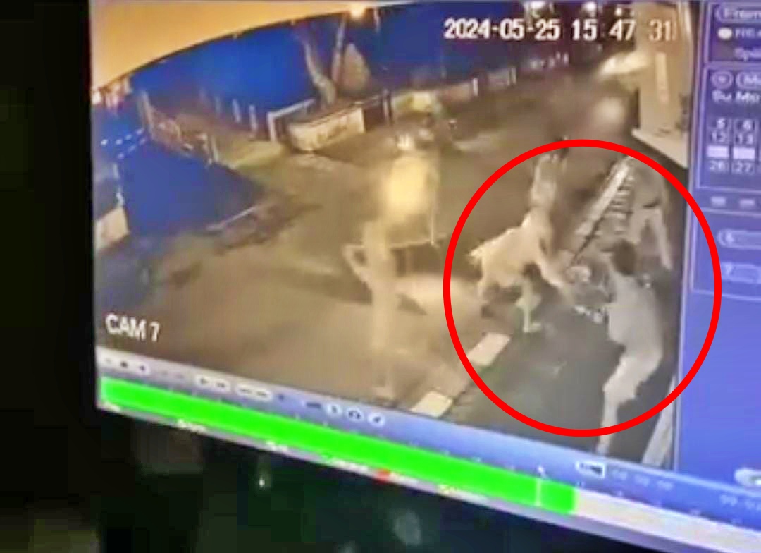 tangkapan layar video pembacokan di Magelang yang viral