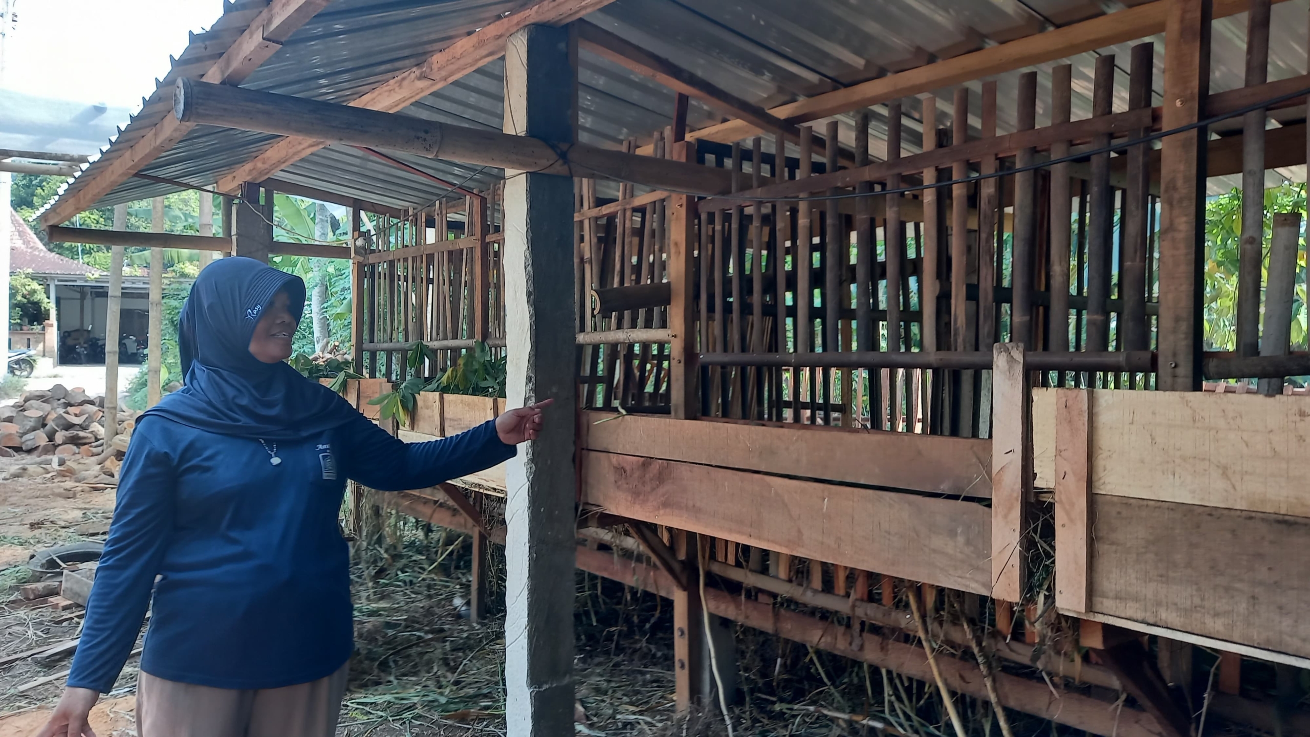 6 Kambing Milik Warga Borobudur Magelang Raib Dicuri, Polisi Lakukan Penyelidikan