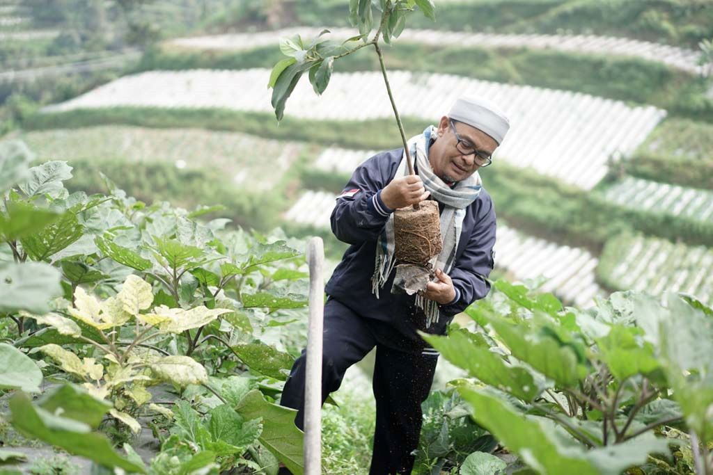 Peringati Hari Lingkungan Hidup Sedunia, Untidar Tanam 2.000 Pohon Alpukat di Negeri Kahyangan Magelang