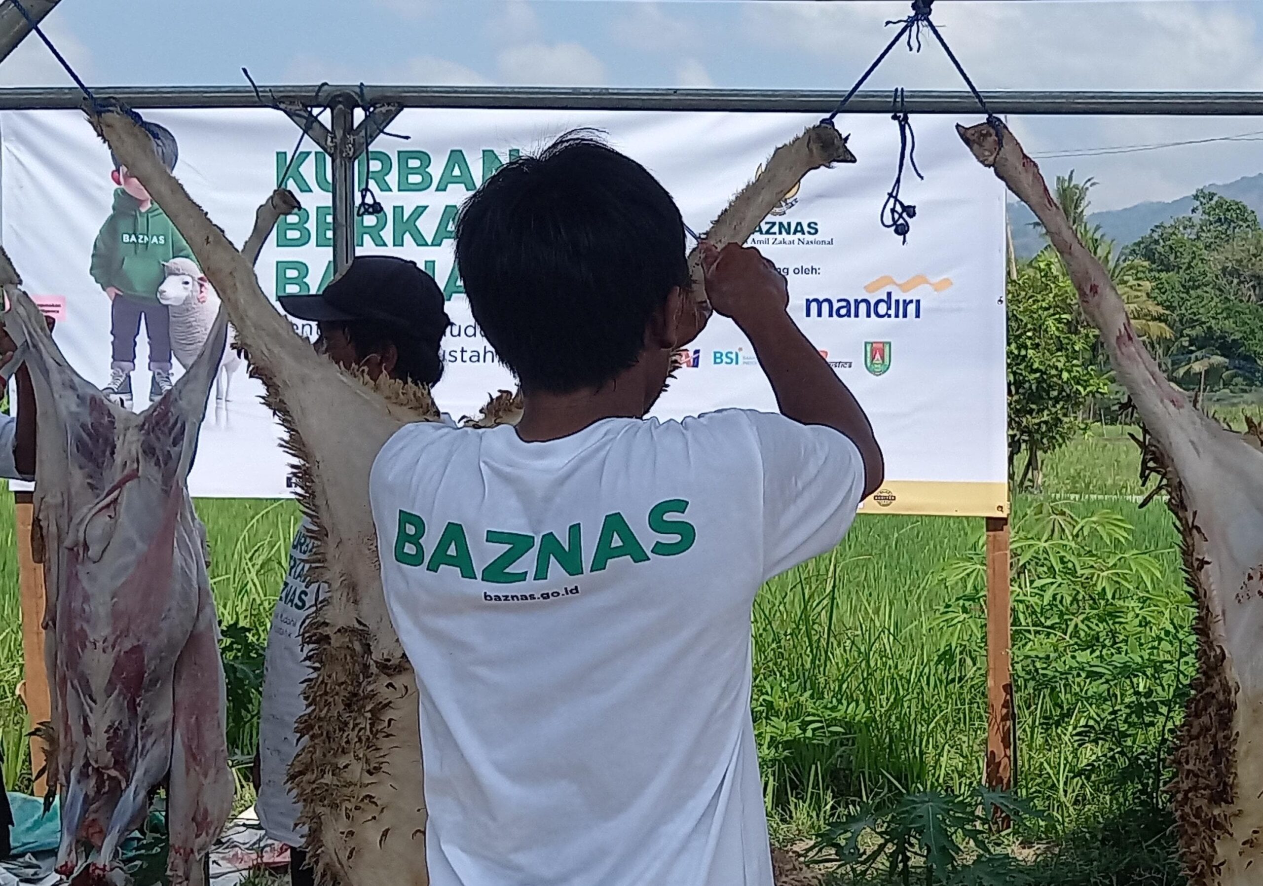 Idul Adha 1445 H/2024, BAZNAS RI Menyembelih 75 Kambing di Balai Ternak Muntilan Magelang