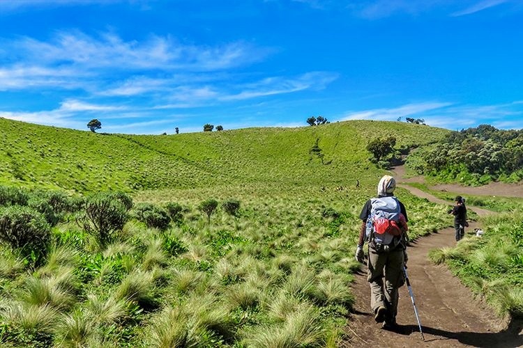 Pendakian Gunung Merbabu terbaru