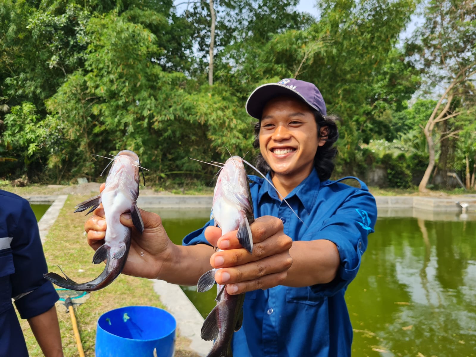 Dispeterikan Kabupaten Magelang Panen Perdana Ikan Beong