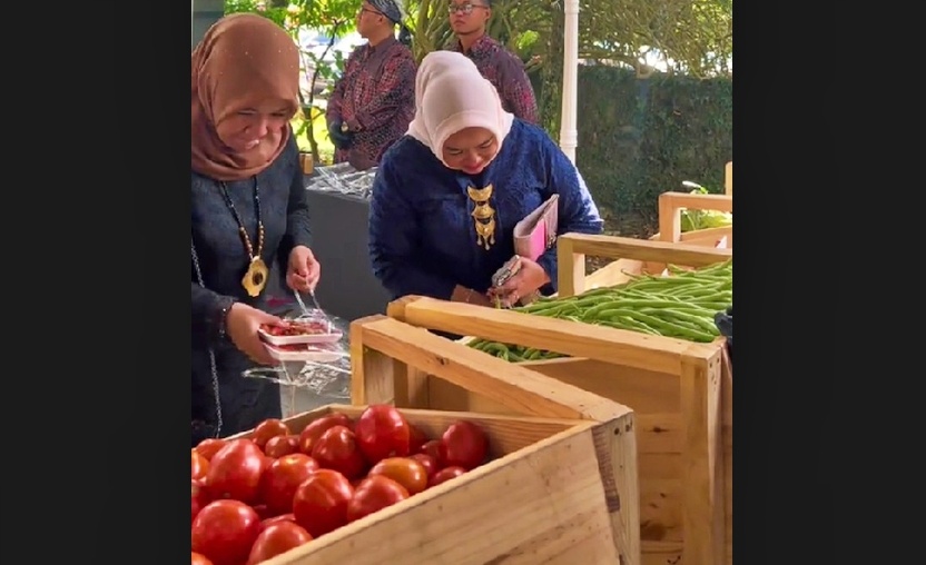 tangapan layar video tamu undangan mengambil sayur sayuran sebagai sauvenir pernikahan