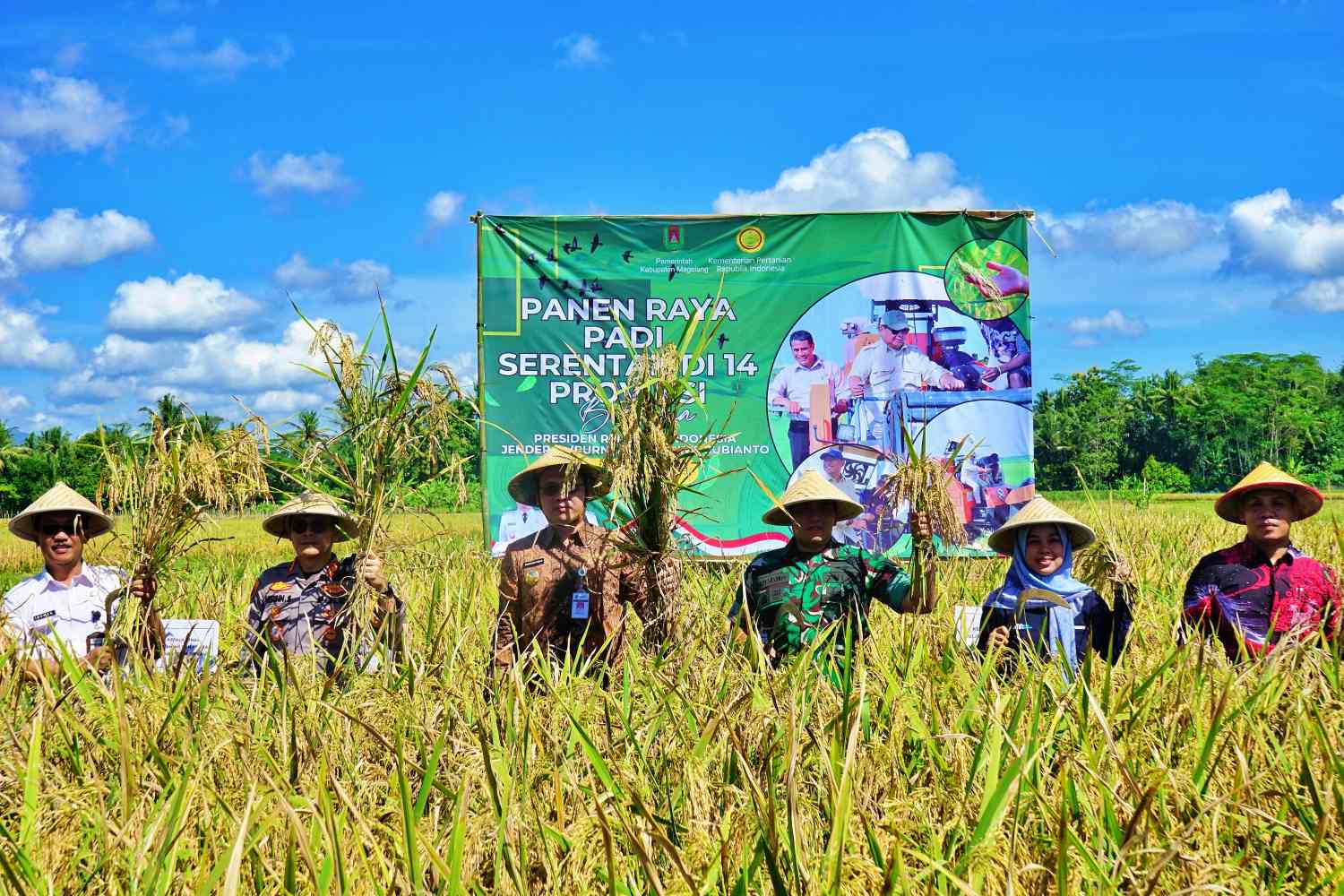 Bupati Magelang Grengseng Pamuji bersama jajaran Forkopimda dan OPD terkait saat melaksanakan panen raya padi di Desa Deyangan.