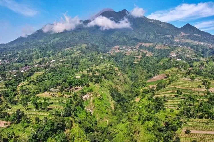 Pendakian Gunung Merapi