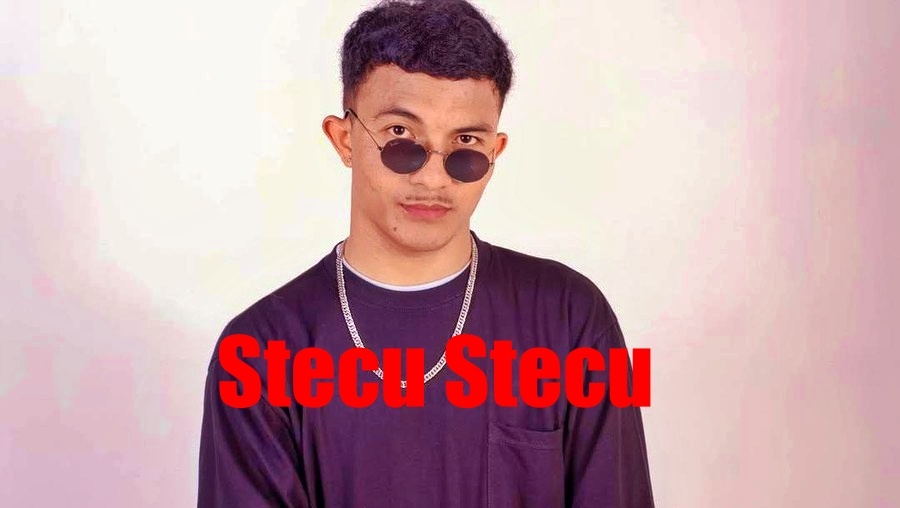 Penyanyi Lagu Stecu Stecu