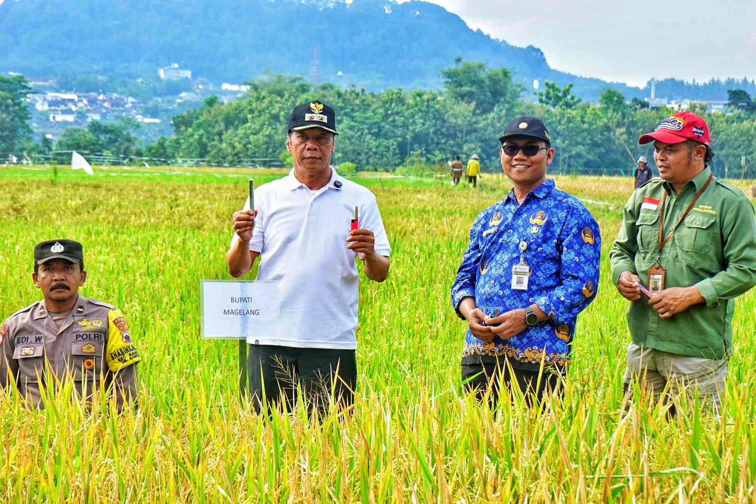 Wakil Bupati Magelang, Sahid di dampingi Kepala Dinas Pertanian dan Pangan Kabupaten Magelang Romza Ernawan saat melaksanakan kegiatan Pengendalian Hama Tikus Di Desa Banyuwangi, Bandongan.