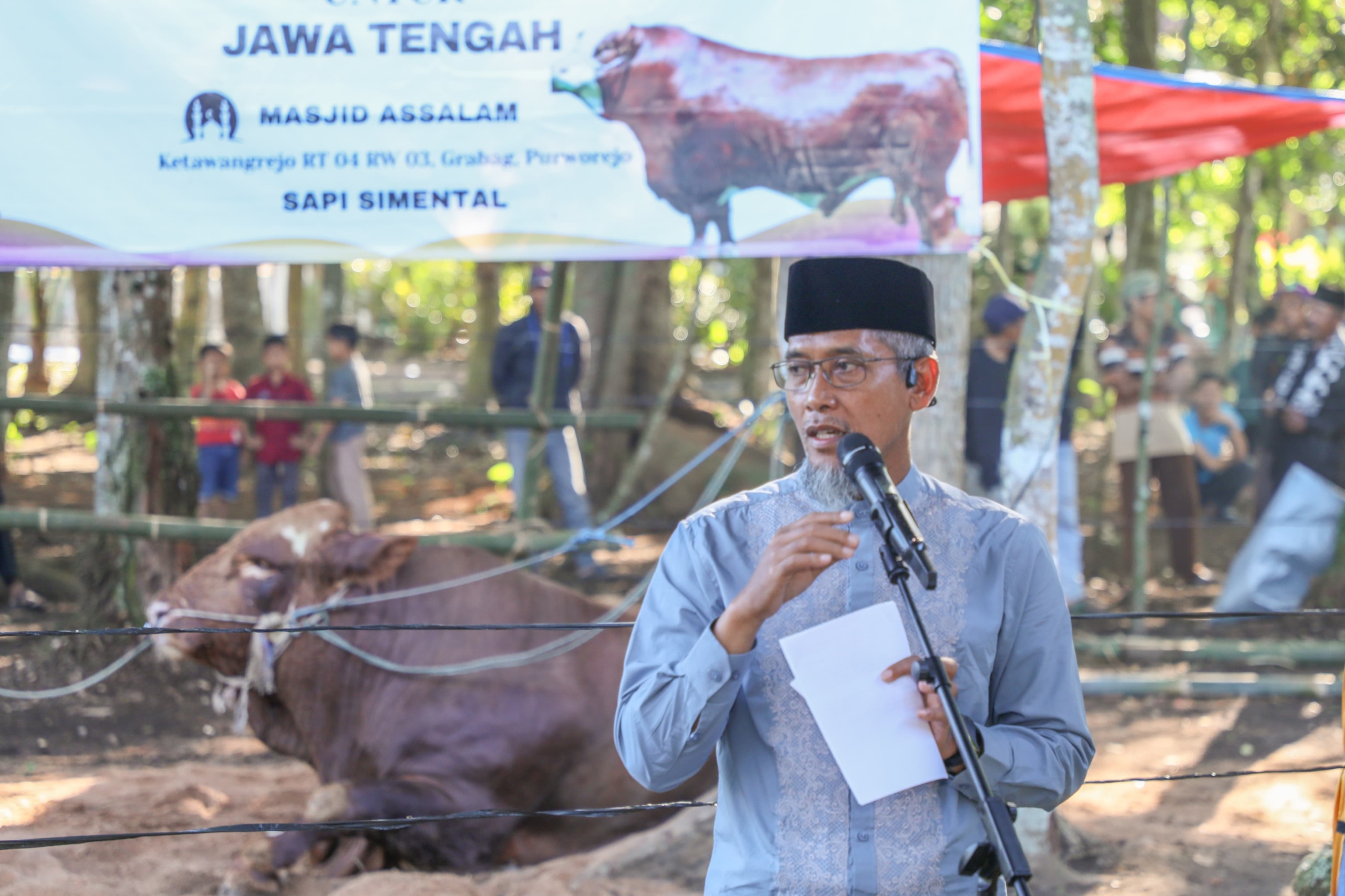 36 Sapi Kurban Presiden RI Dibagi di Jateng, Sekda: Bentuk Apresiasi Peternak Lokal