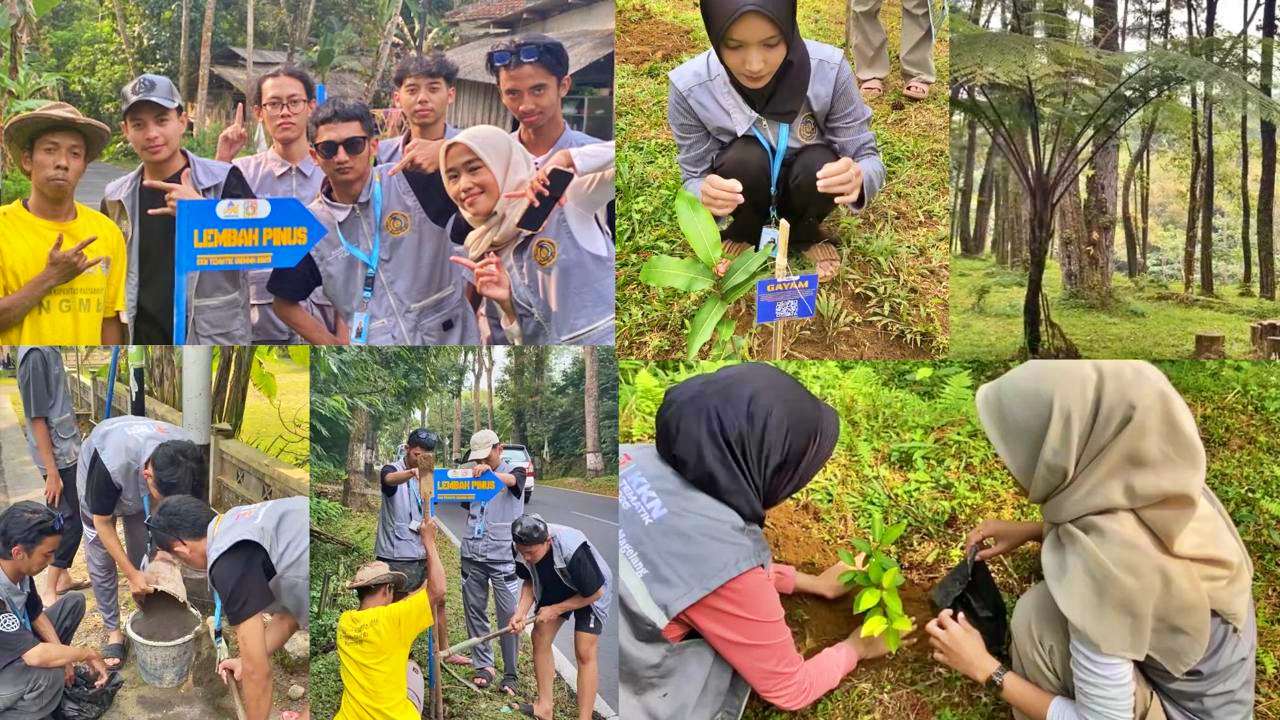 Mahasiswa KKN UNIMMA inisiasi ekowisata terpadu di Lembah Pinus Surodadi, mulai dari penghijauan hingga promosi digital.