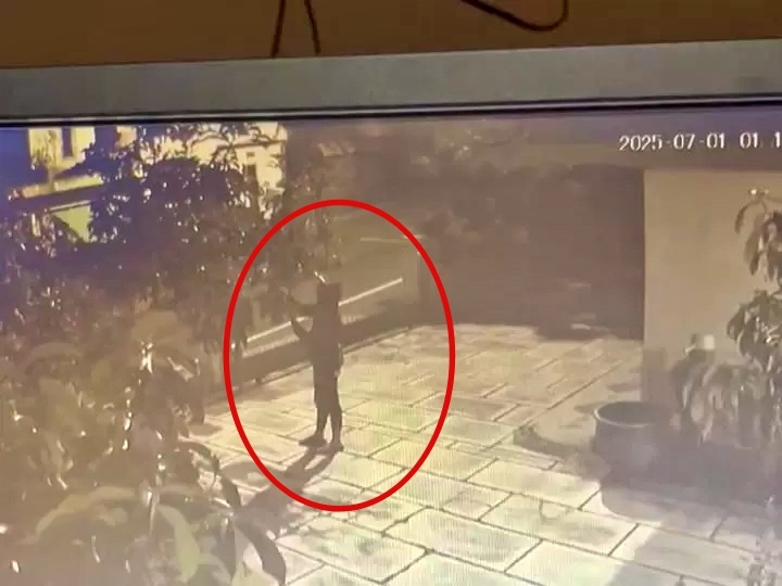 Pencurian Alpukat di Magelang resahkan warga Kaliangkrik
