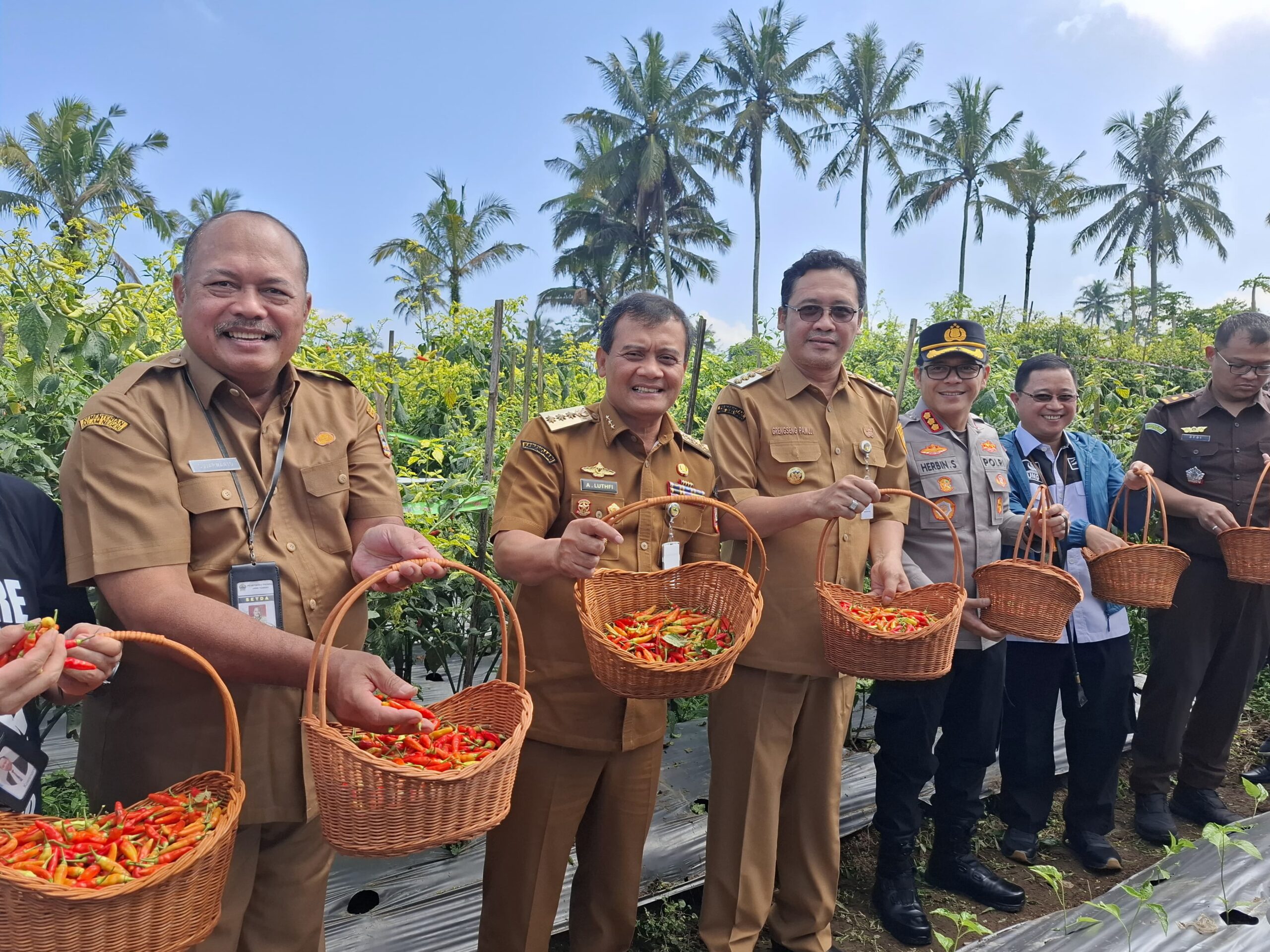 Upaya BPR BKK Jateng Bantu Petani, Berikan Kemudahan Kredit dan Dukungan CSR
