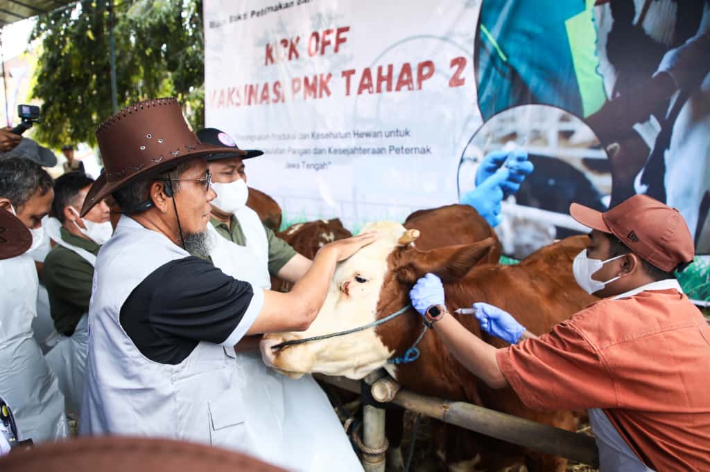 Hasil Ternak Jawa Tengah Berkontribusi Besar Secara Nasional