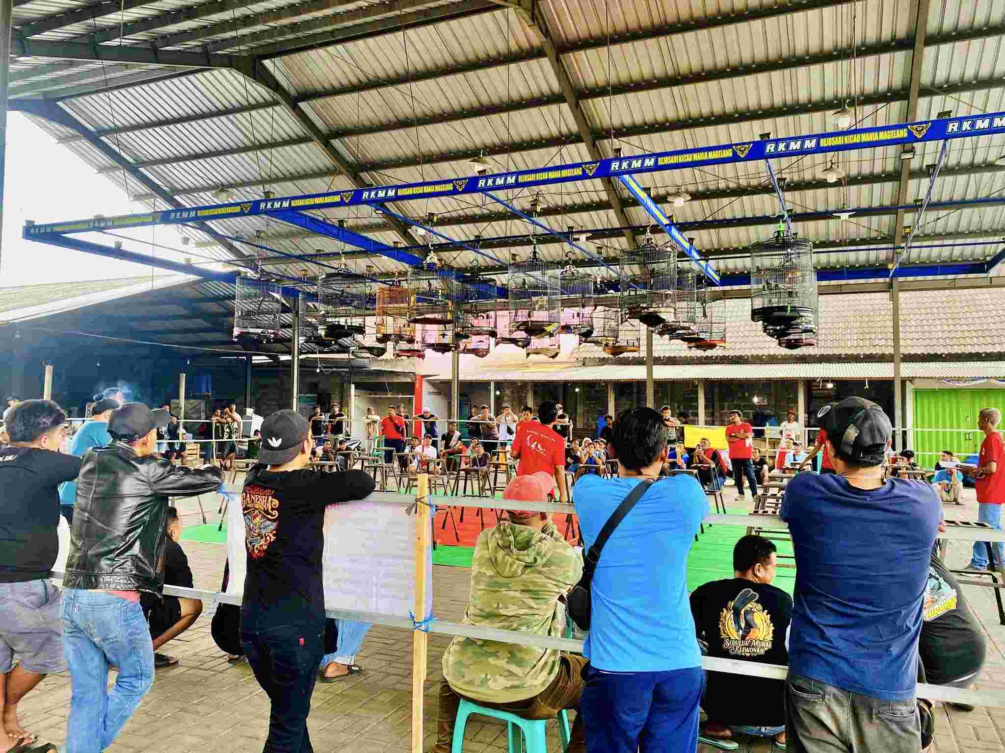 Lomba Burung Berkicau Kades Dukun Cup 2 Hadirkan 24 Kelas