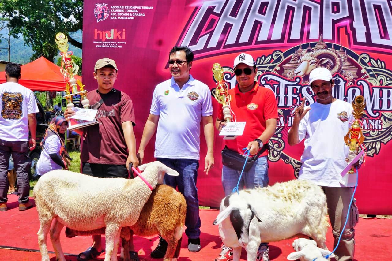 Pemkab Magelang Gelar Kontes Domba Nasional