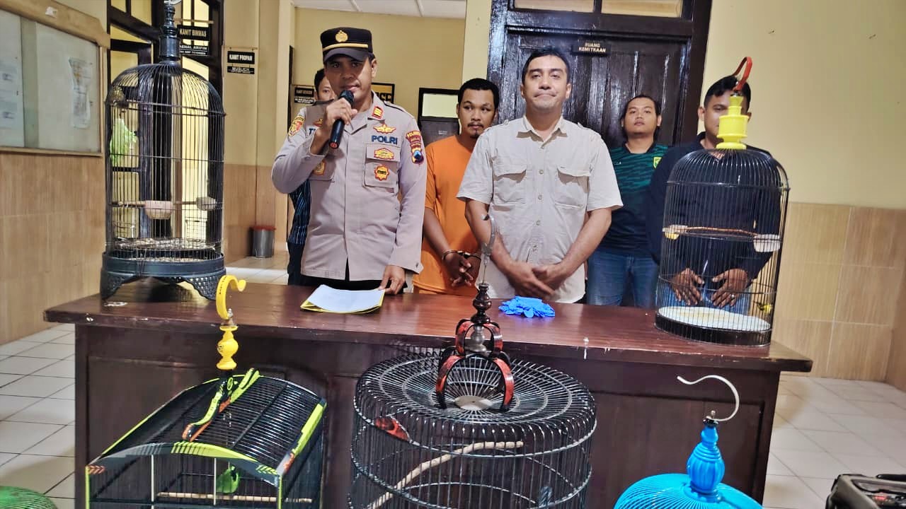 Ungkap Kasus Pencurian 8 Ekor Burung di Muntilan oleh Polsek Muntilan