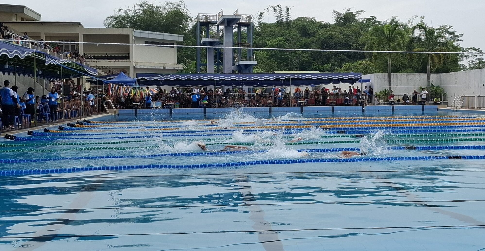 Ratusan Perenang Ikuti Samapta Swim Competition IV Tahun 2025 di Kota Magelang