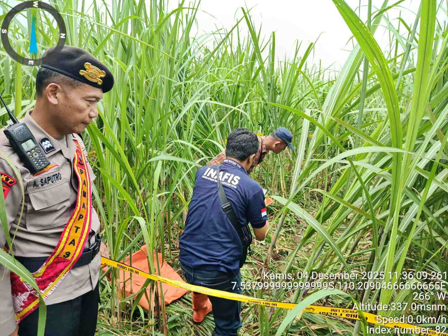 Penemuan Mayat Perempuan di Kebun Tebu di Magelang