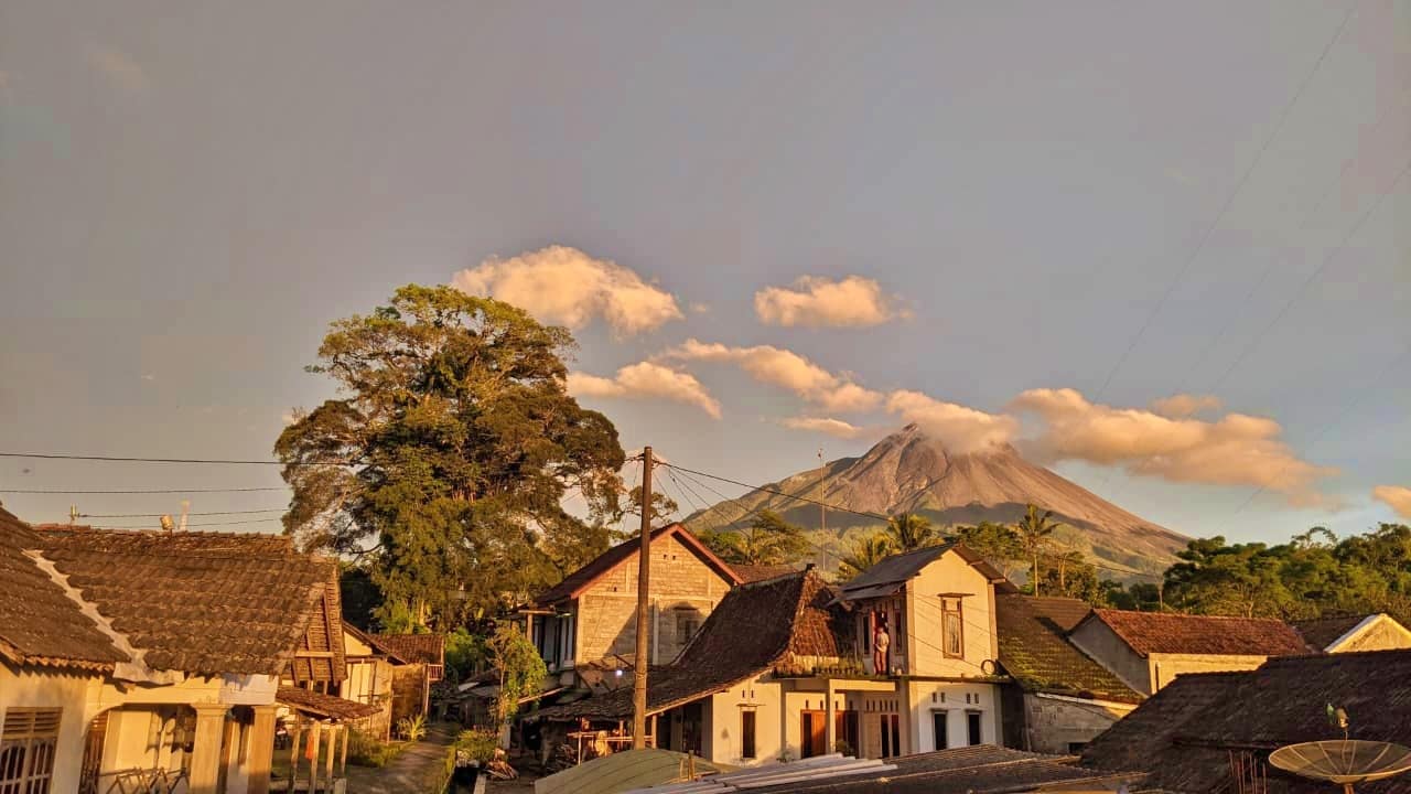 Pohon Beringin Berusia Ratusan Tahun di Lereng Merapi Magelang Tumbang
