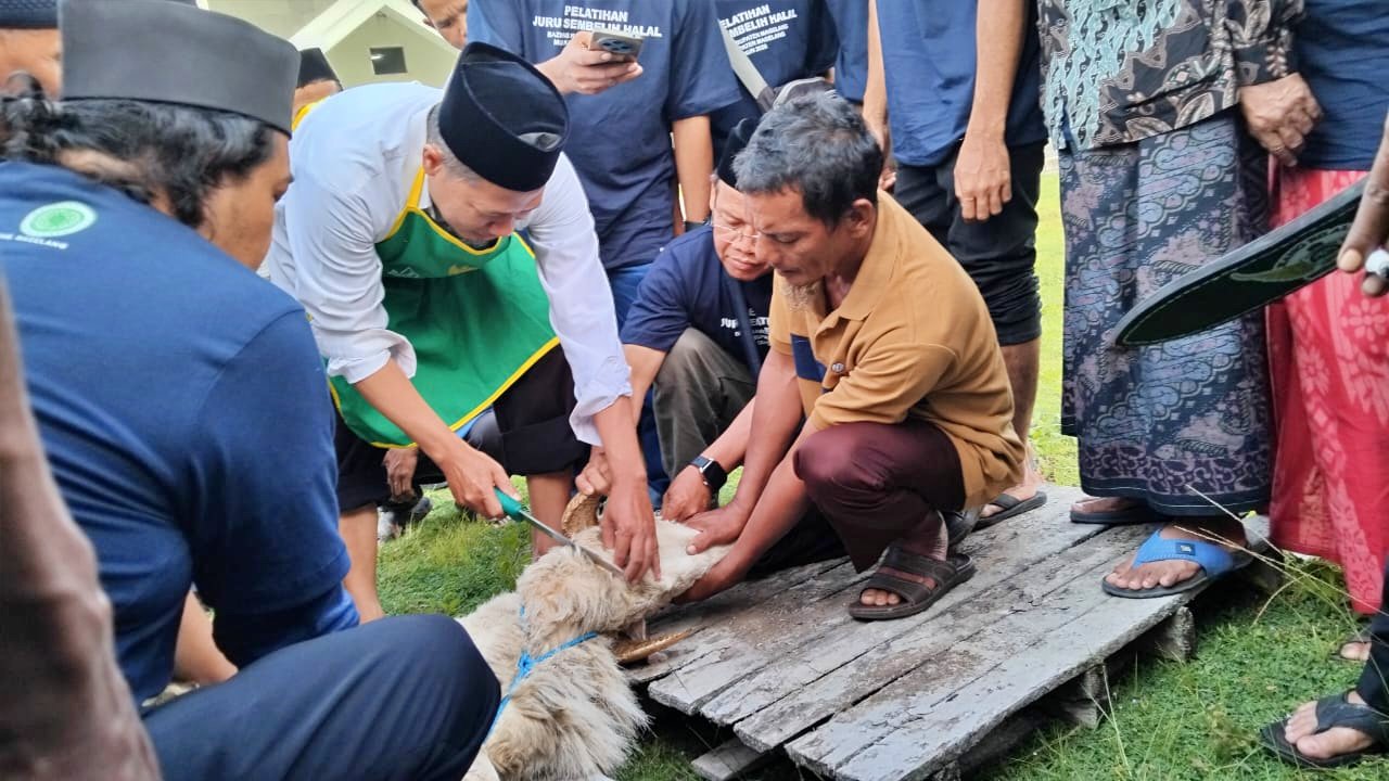 50 Tukang Jagal Di Kabupaten Magelang Diberi Pelatihan Juru Sembelih Halal Berbasis Masjid