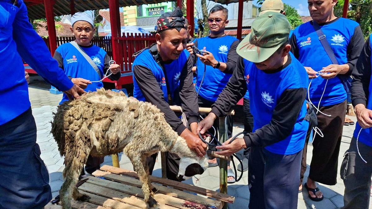 RATUSAN JAGALMU PCM MUNTILAN IKUTI GELAR APEL SIAGA DAN PELATIHAN SONGSONG IDUL QURBAN