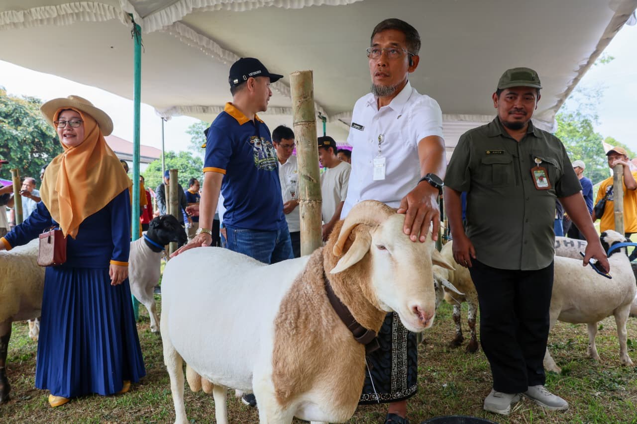 Upaya Pemprov Jateng Pastikan Kesehatan Hewan Kurban Iduladha 2026