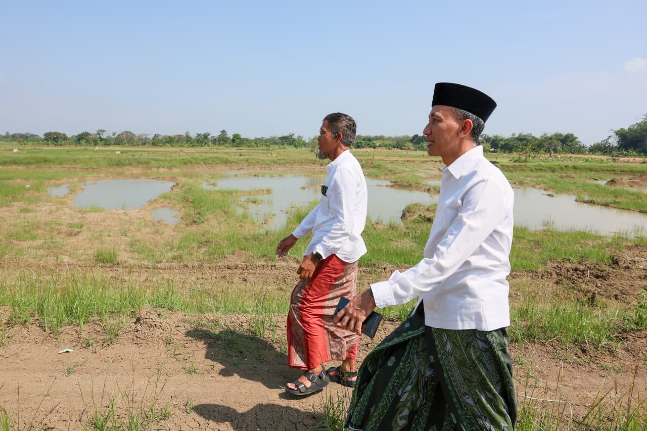 Jebolnya Tanggul Sungai Tuntang Masih Berdampak, Sawah 1,5 Hektare Tak Bisa Digarap