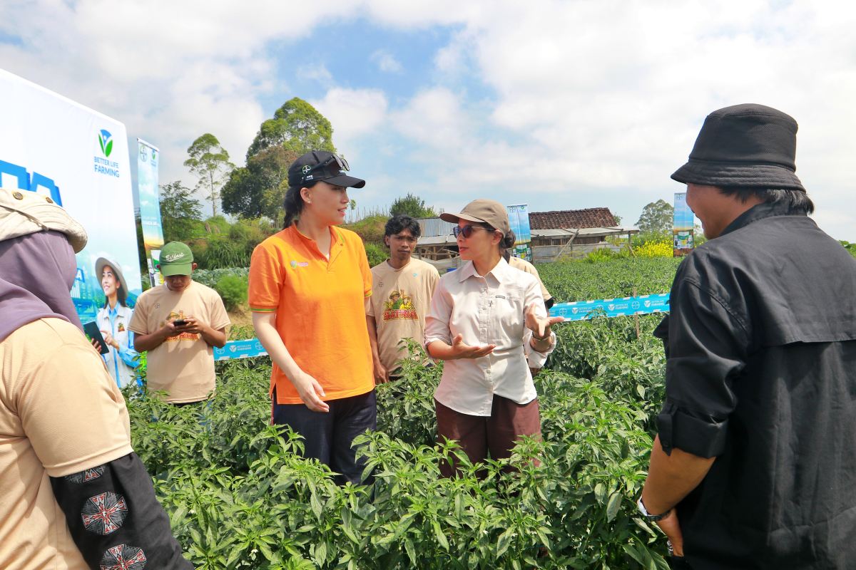 (tengah ki-ka) Presiden Direktur Bayer Indonesia, Yuchen Li bersama Maria Magdalena Pakpahan, Head of BLF Bayer Indonesia berbincang dengan para petani muda sebagai rangkaian dari Program Bayer SATRIA di Ngablak, Kabupaten Magelang, Senin (29/6)