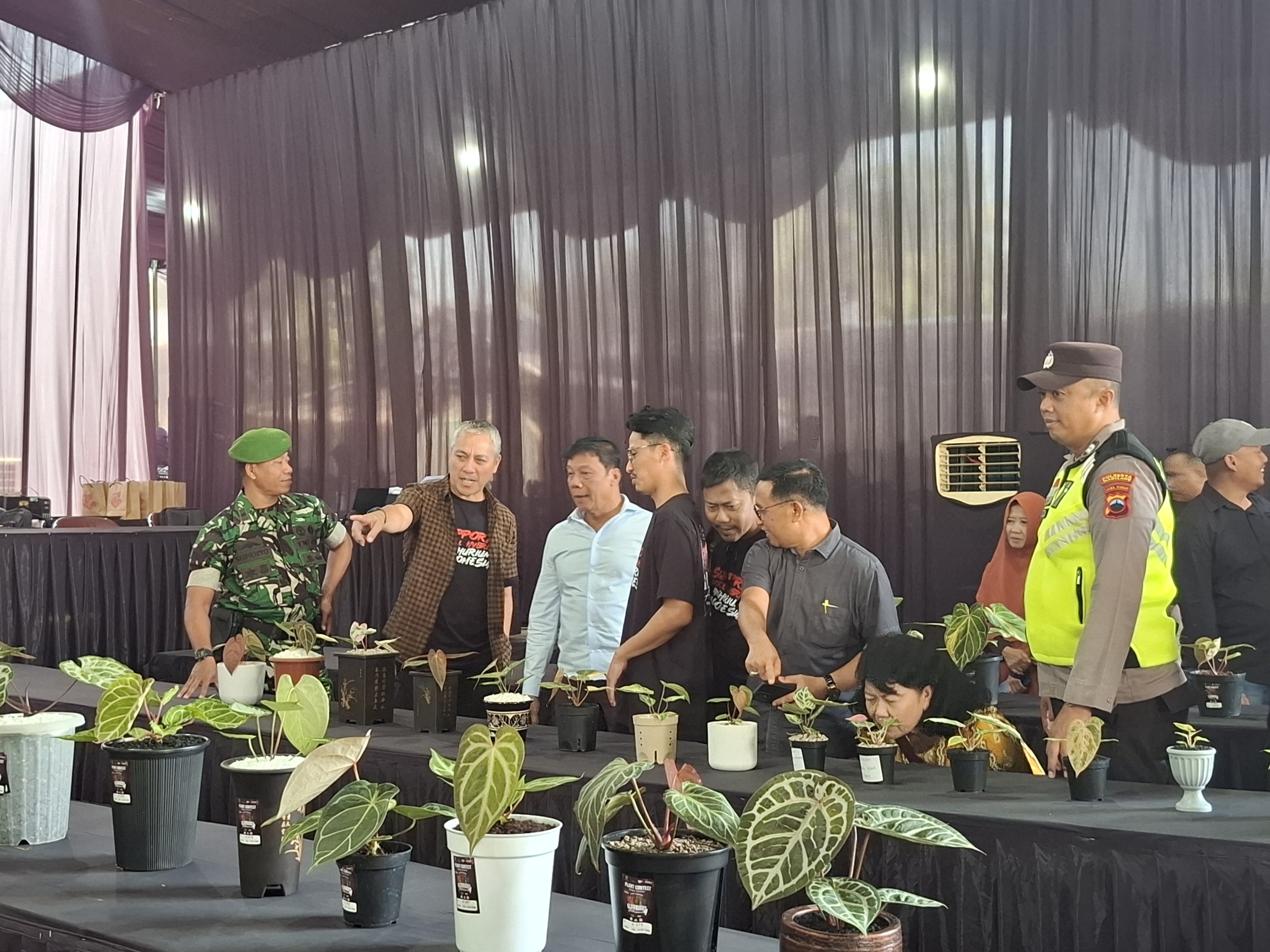 Glowrious Anthuriums 4 di Magelang, Ada Kontes Tanaman Hias Anthurium