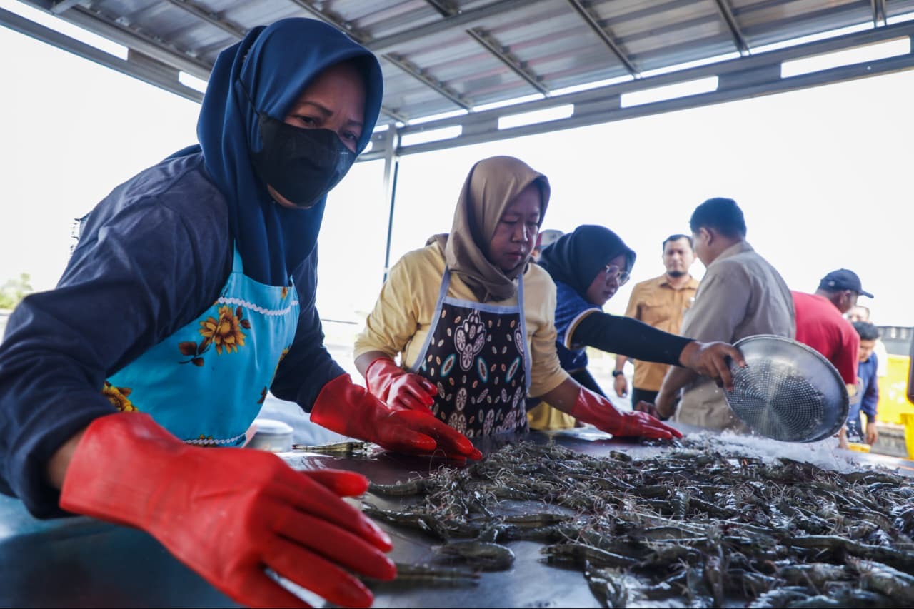 Lewat Teknologi ini, Tambak Udang Milik Pemprov Jateng Sukses Panen di Tengah Kawasan Industri