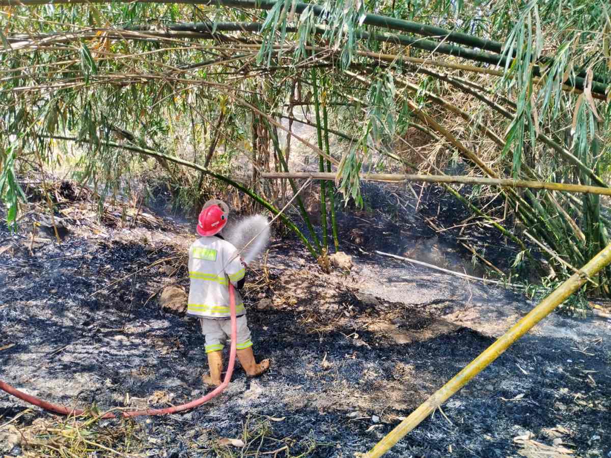 Dua Kebakaran Lahan Terjadi di Secang Magelang, 15 Rumah Warga Berhasil Diselamatkan