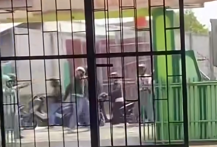 Viral Video Gerombolan Lempar Batu ke SMK Adipura Magelang, Polisi Mendalami Kasusnya