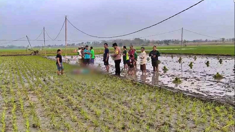 Polisi saat olah tkp kejadian 2 petani meninggal dunia tersengat listrik jebakan tikus di sawah daerah Bojonegoro